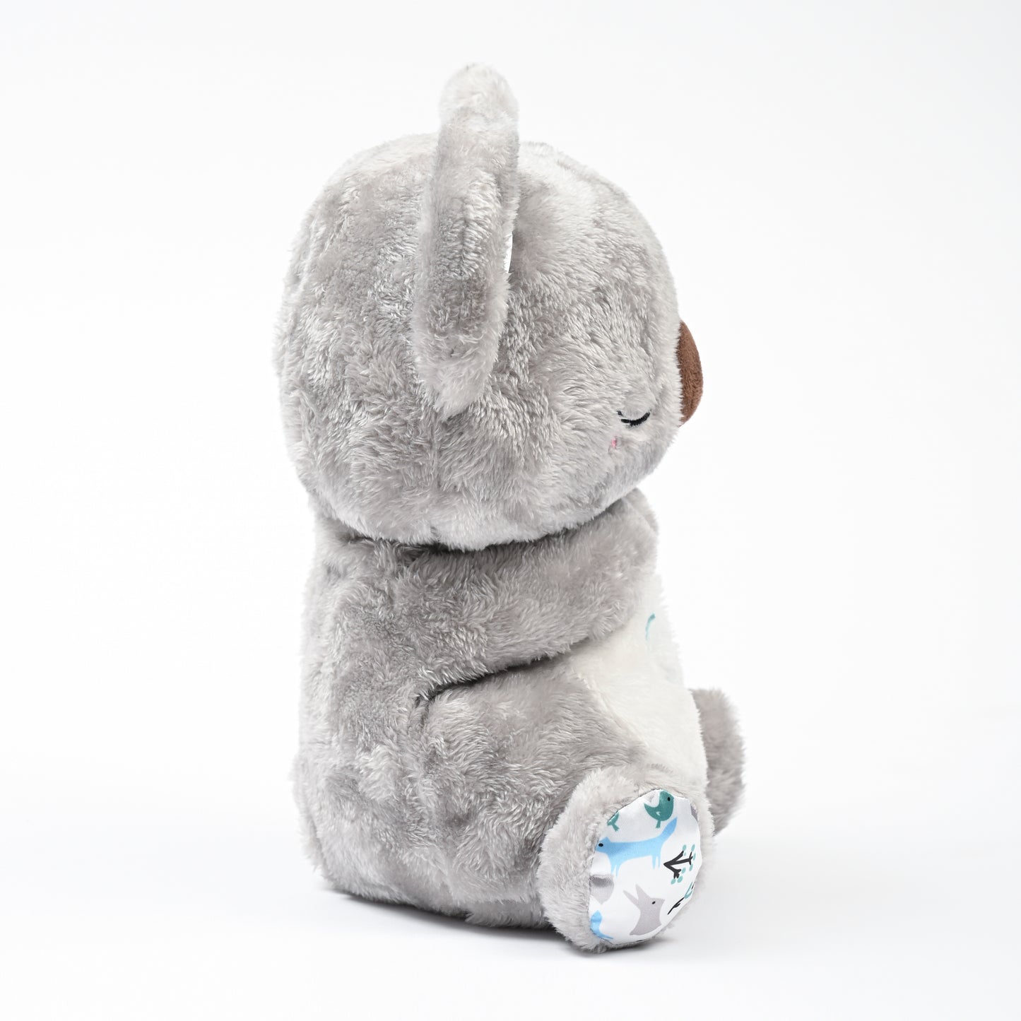Archie le Koala