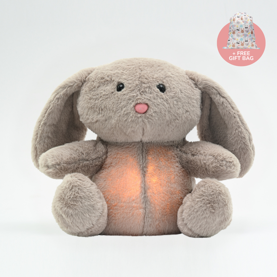 Hops the Rabbit